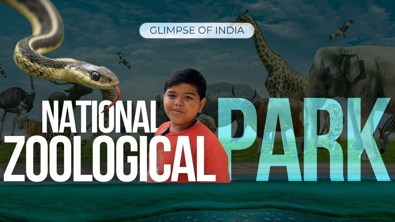 Delhi Zoo - National Zoological Park New Delhi | Full Tour & Guid 2024