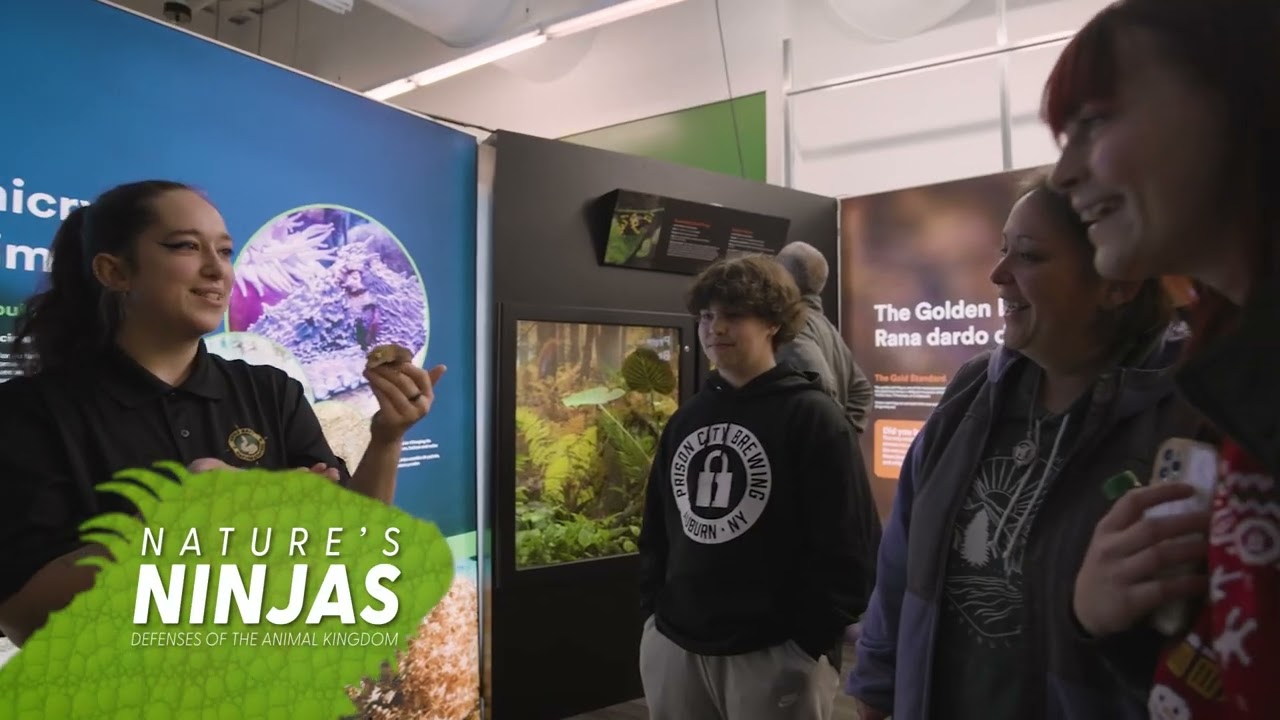 Nature's Ninjas at Vancouver Aquarium opens February 10!