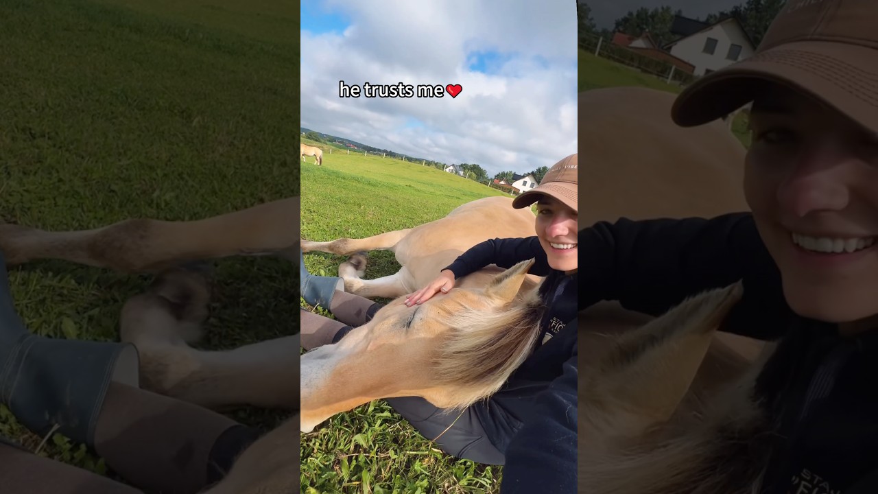 When trust is bigger than fear 🐴❤️#HorseAndHuman#GentleGiant #AnimalBond #Heartwarming #BestFriends