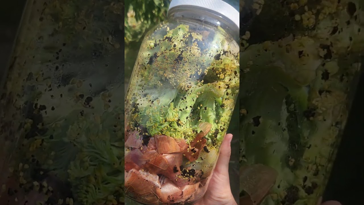 Connecting with a Neighbor Through Composting: Small Steps to Sustainability #Composting #Community