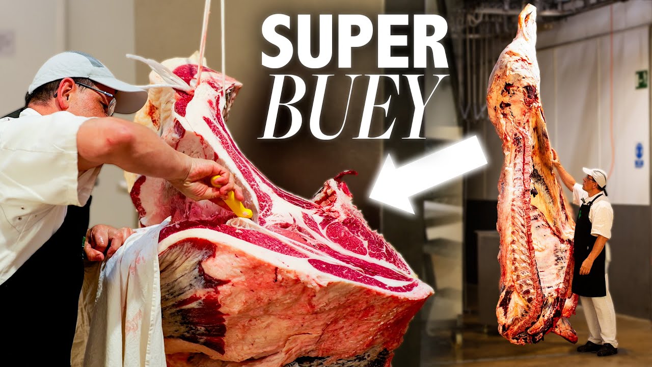 🔥El Buey Más Bestial que jamás Hemos Comprado | 70 Años Etxezarreta