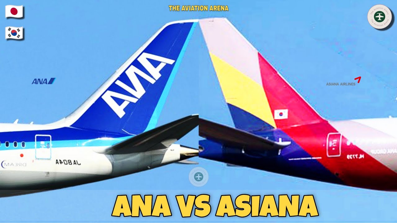 ANA all nippon airways Vs Asiana Airlines Comparison 2025! 🇯🇵 Vs 🇰🇷