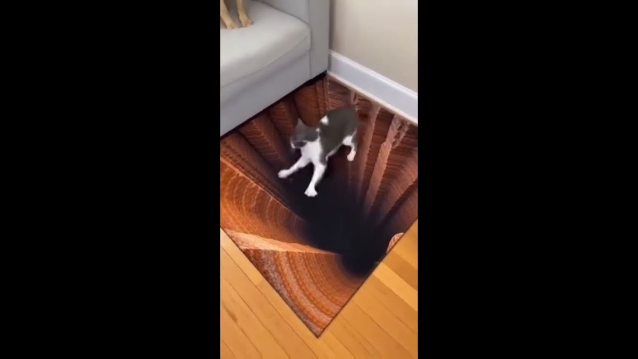 so funny #viral #trending #short