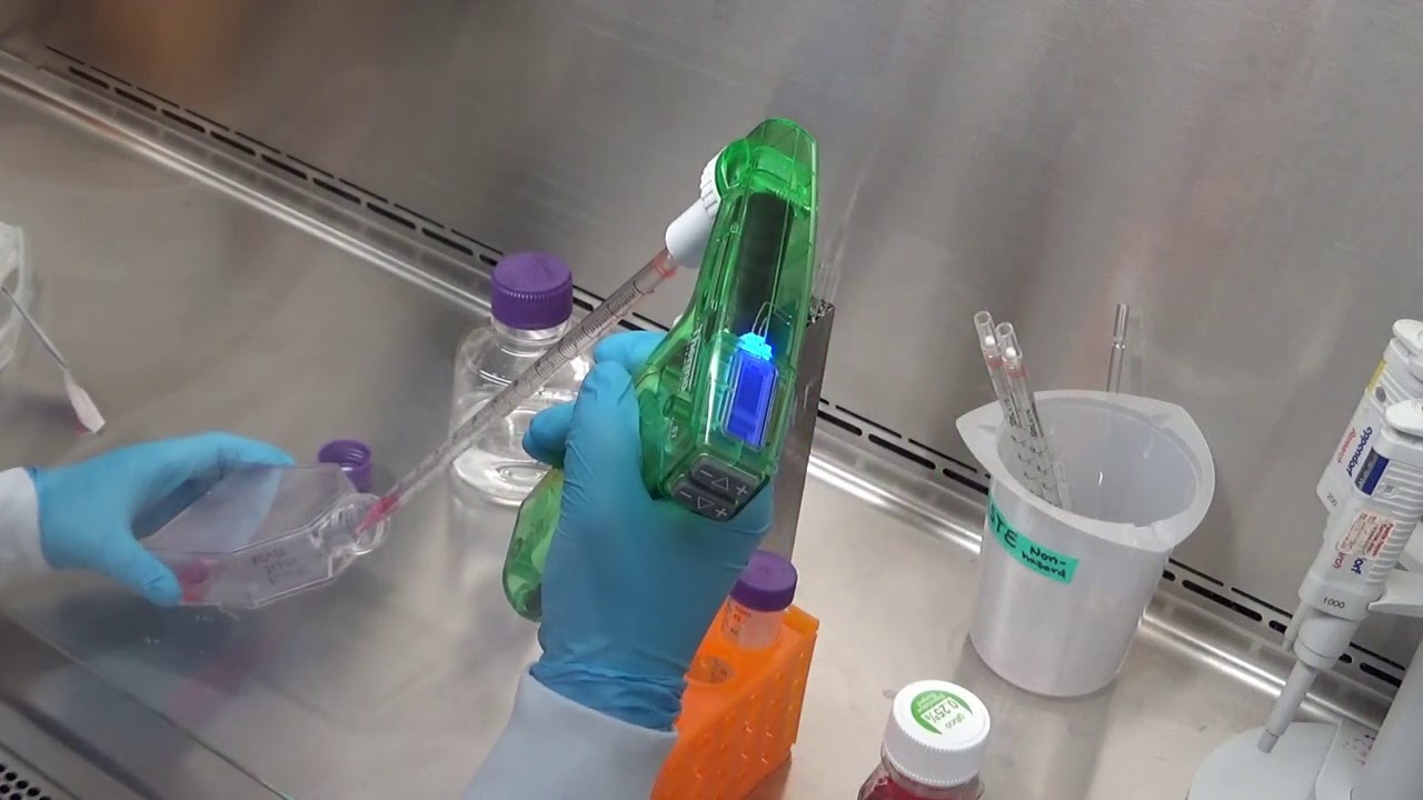 Lab Skills Training Video Part 2: Passaging Adherent Cells