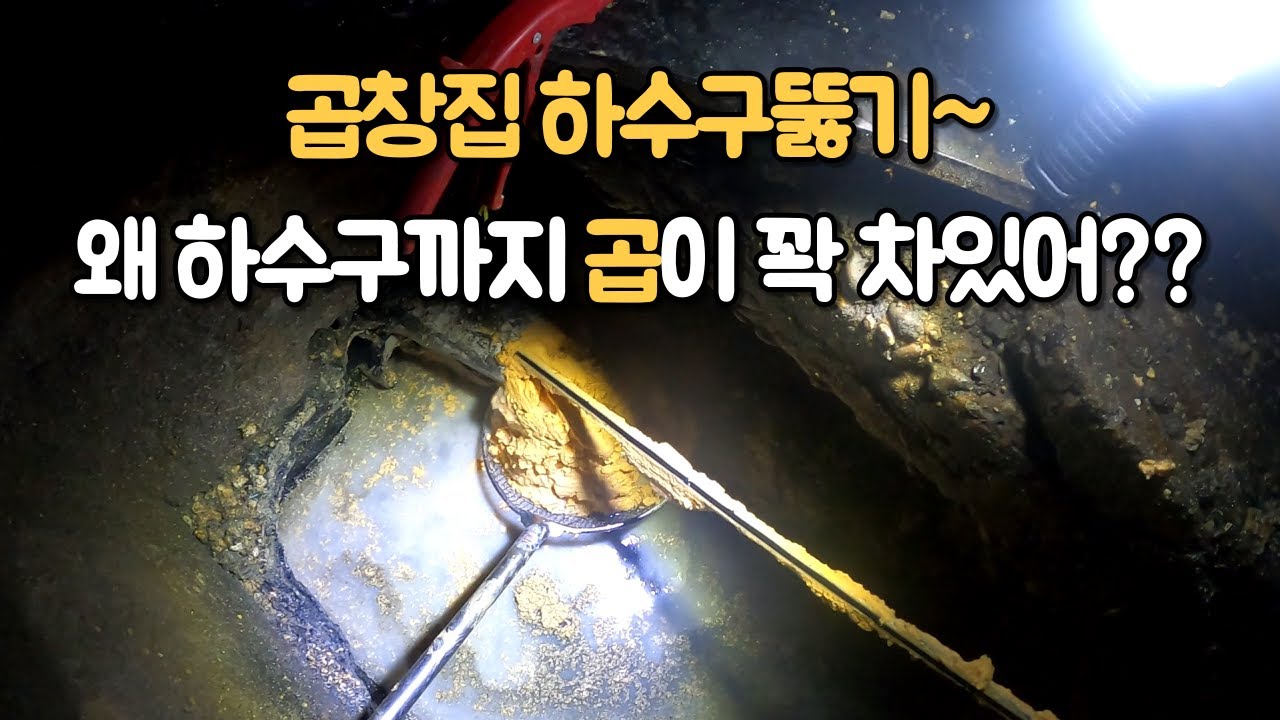 곱창집 하수구뚫기~ 왜 하수구까지 곱이 꽉 차있어?? Clogged sewer in gibletsHigh pressure cleaning