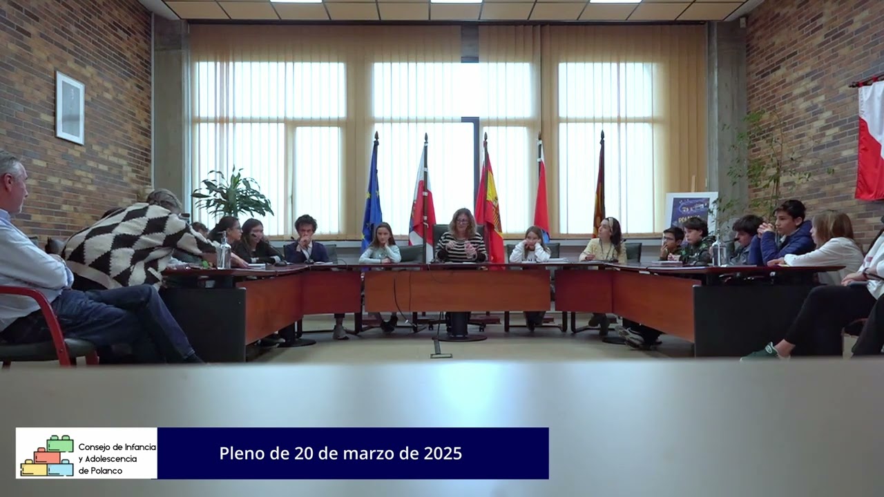 Pleno del Consejo de la Infancia y la Adolescencia :: 20 de marzo de 2025