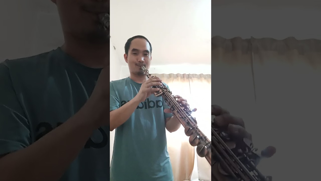 Golden-Huntrix  Sax Cover of Horace Dylan