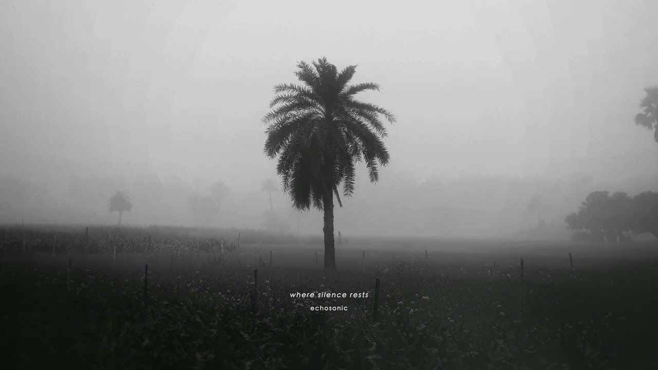 Where Silence Rests | 20‑Min Ambient Meditation for Mental Clarity & Deep Calm