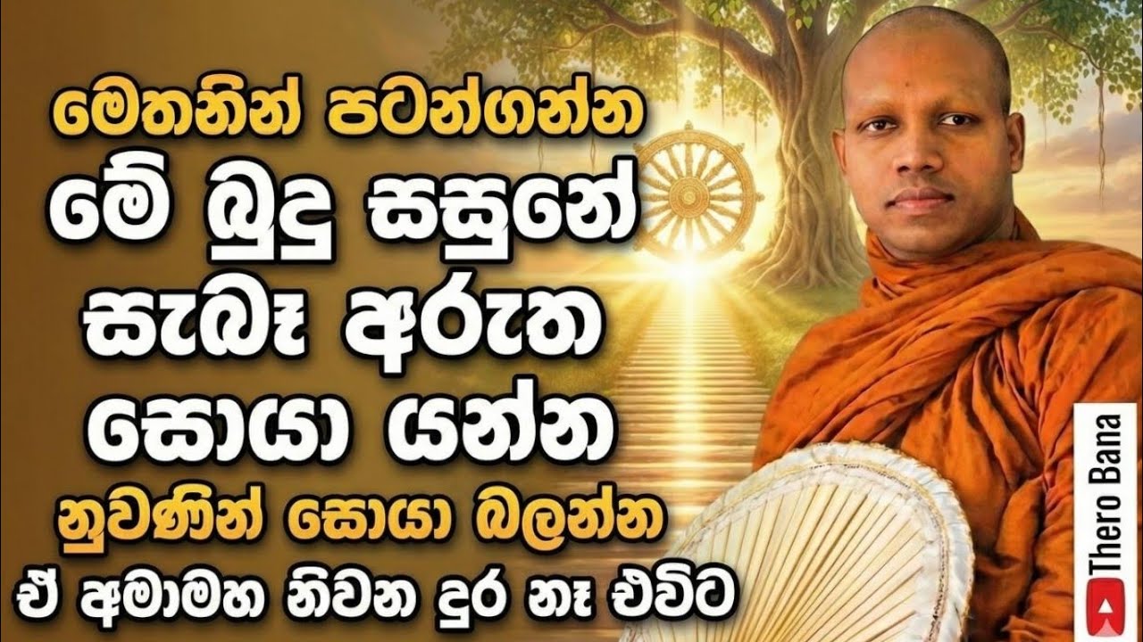 බුදු සසුණේ අරටුව සොයා යන්න ,මෙතනින් පටන් ගන්න  | Hasalaka Seelawimala Thero Bana 2026
