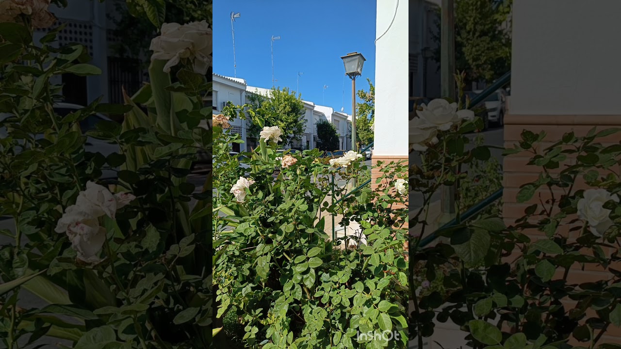 A TINY VILLAGE IN SPAIN :BOLLULLOS PAR DEL CONDADO