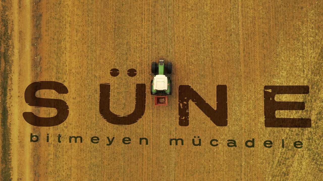 Çiftçinin bitmeyen mücadelesi: Süne