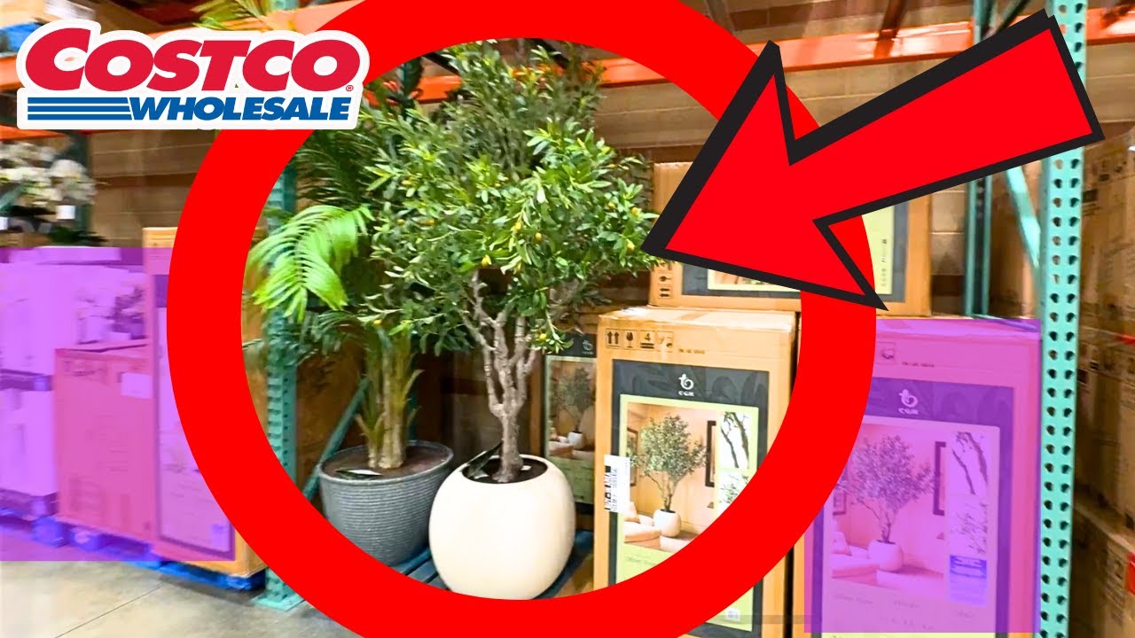 Лучшие новинки от Costco: товары для дома и мебель &mdash; осень 2024 года.