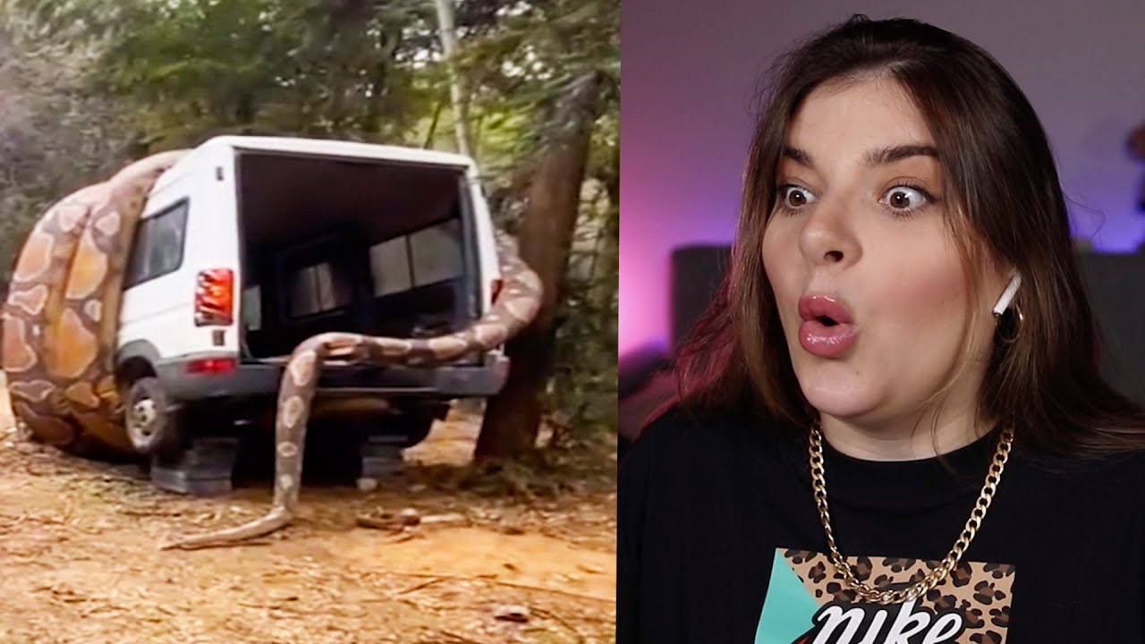 Tente não dizer WOW! (Impossível)