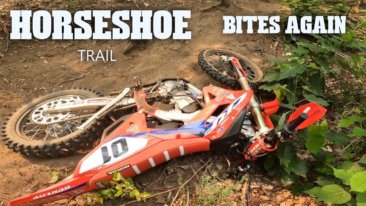 HORSESHOE TRAIL BITES AGAIN