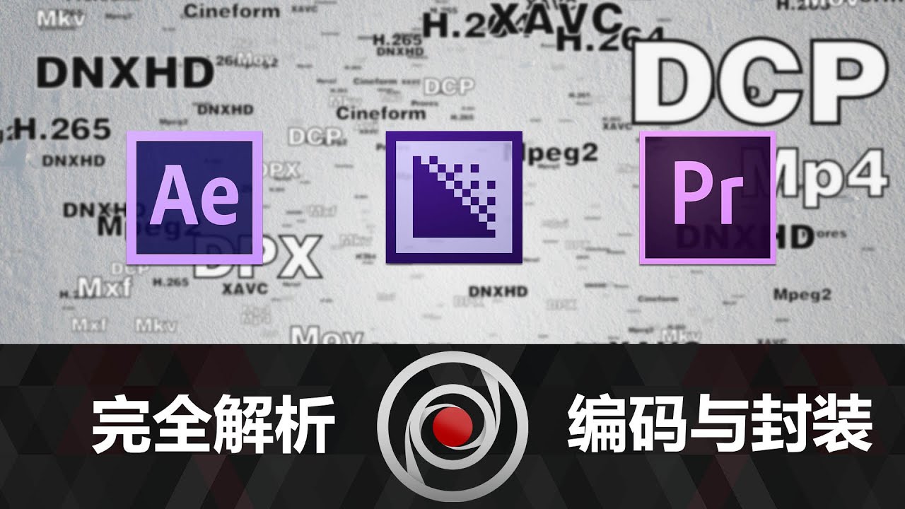 完全解析：视频编码与封装