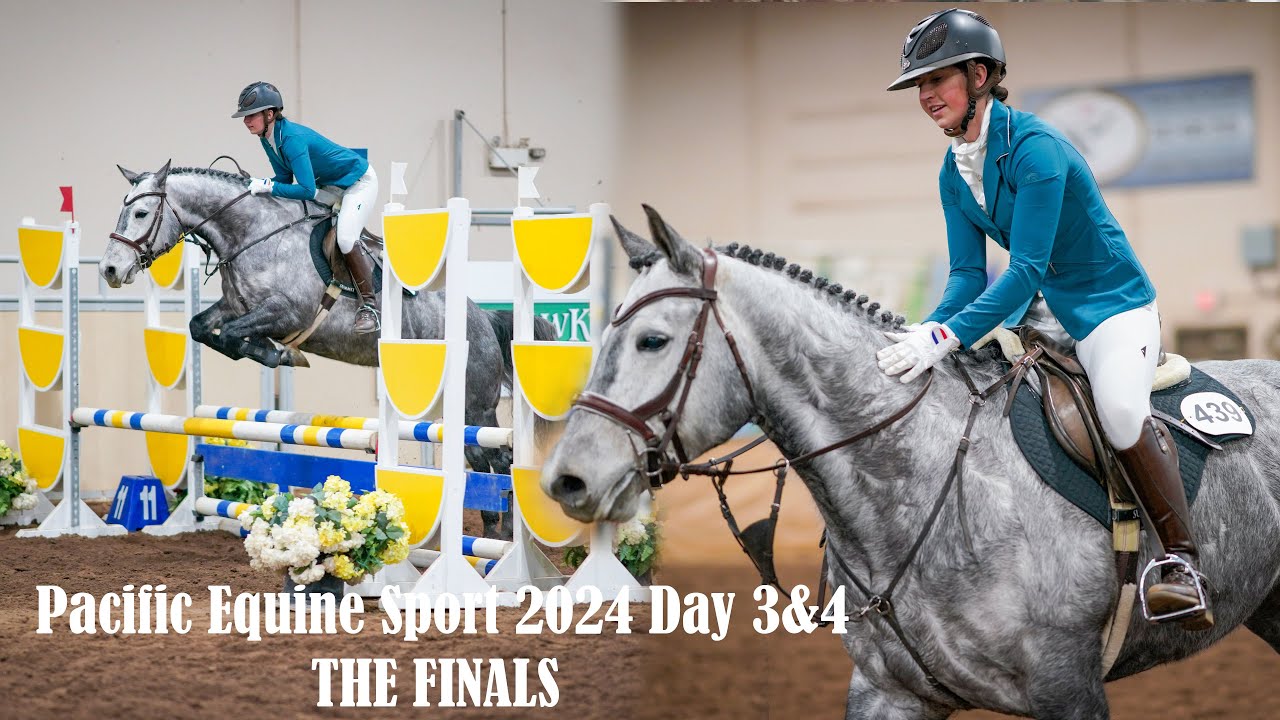 Pacific Equine Sport competition 2024 | Day 3&4 |PaintedPony