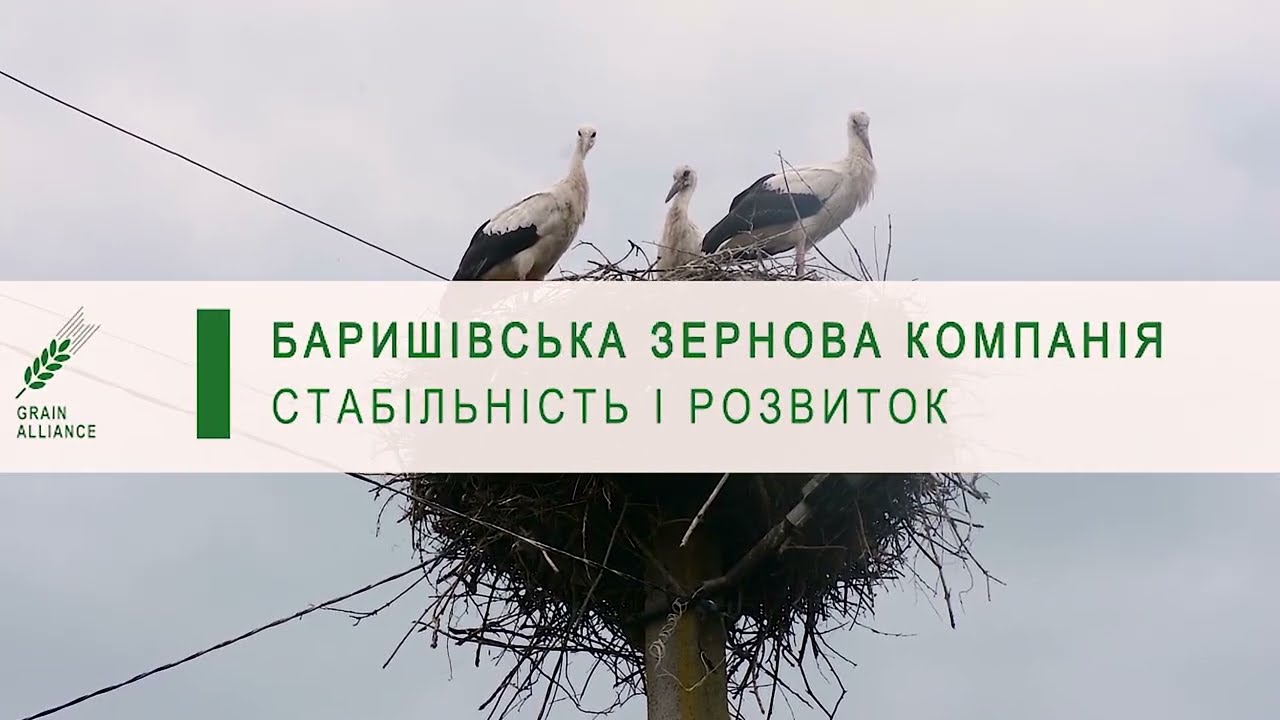 Неймовірна історія справжньої відданості роботі