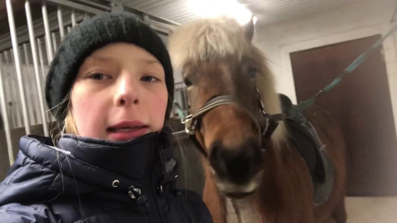Kort stall vlogg, h&auml;ng med en dag i stallet