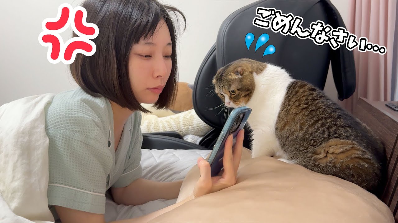休日の朝4時に猫がママを起こし続けた結果…マジギレされちゃいました。