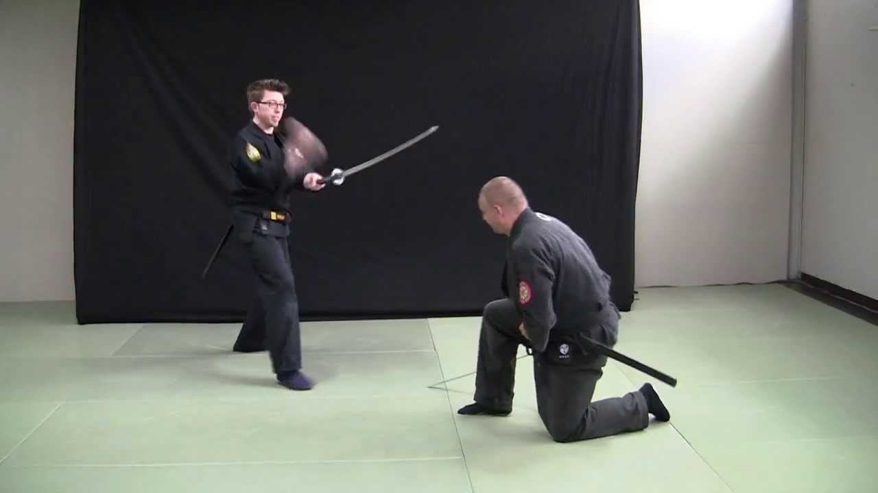 25 years Genbukan Chiryaku Dojo Belgium demonstration [HD]