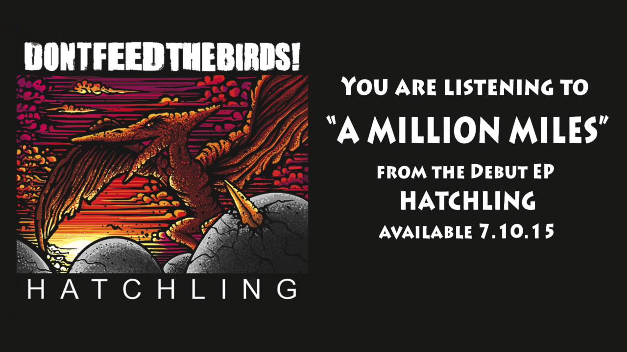 DONTFEEDTHEBIRDS! - A Million Miles