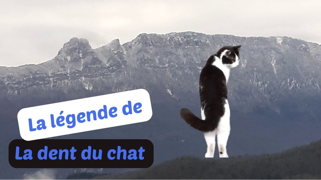Savoie : la légende de la dent du chat