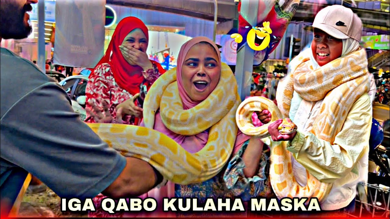 WAXAY KA BAXDAY BALANKI GUURKA💍 | qosolki aduunka 😂