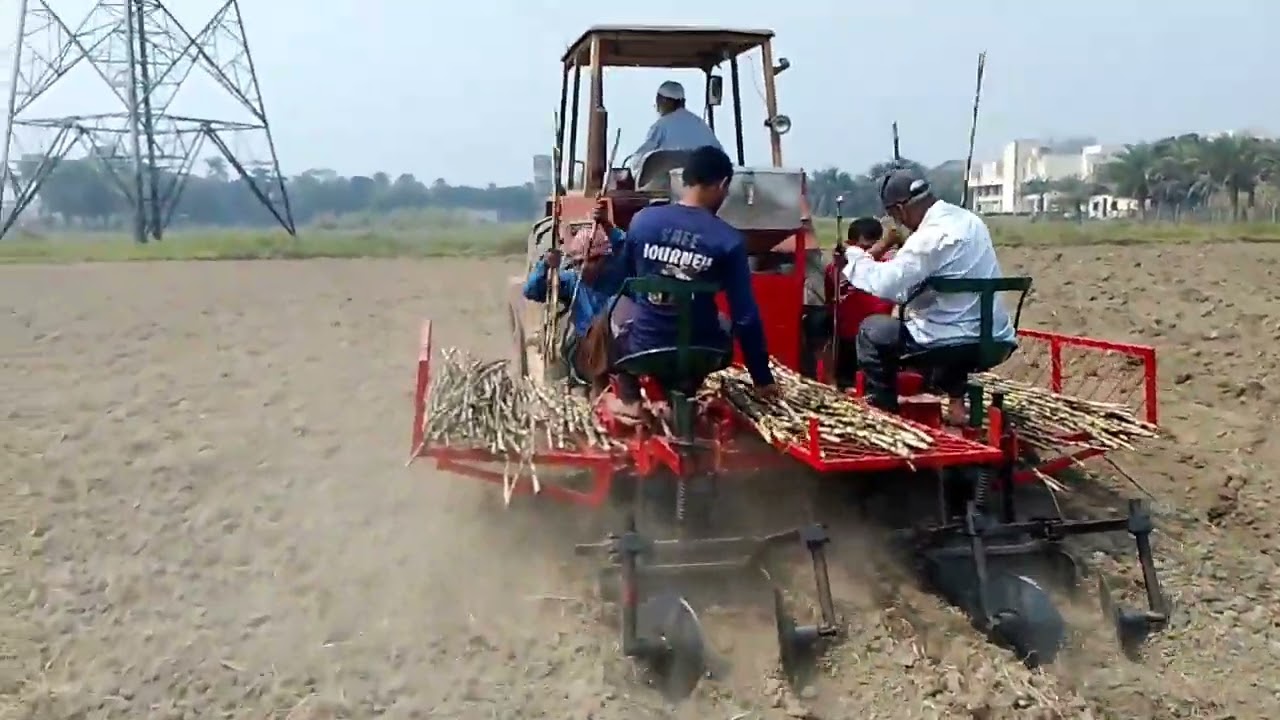 Sugarcane planter (made in Bangladesh)
