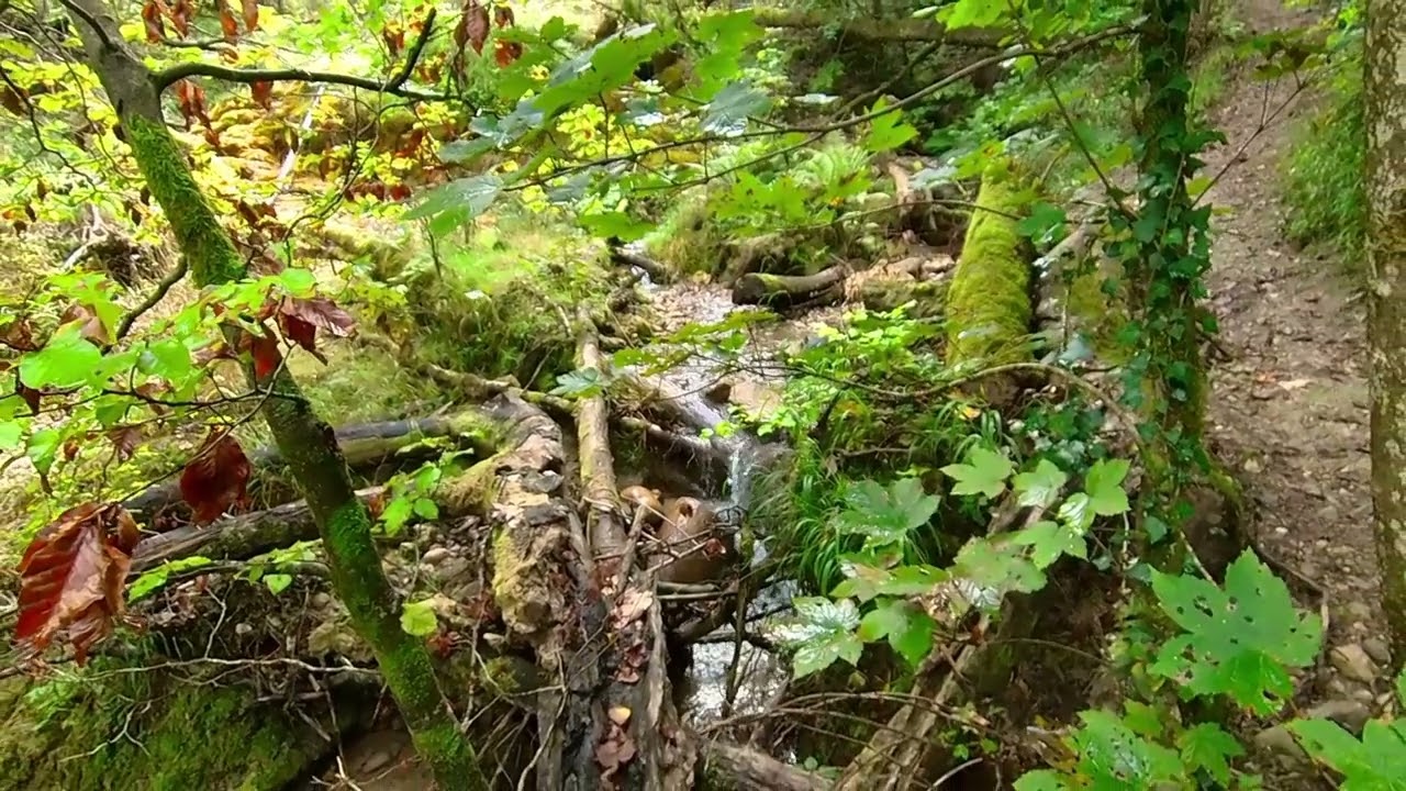 Bäntal - Bach mit Tüfels Chilen   Teil 4