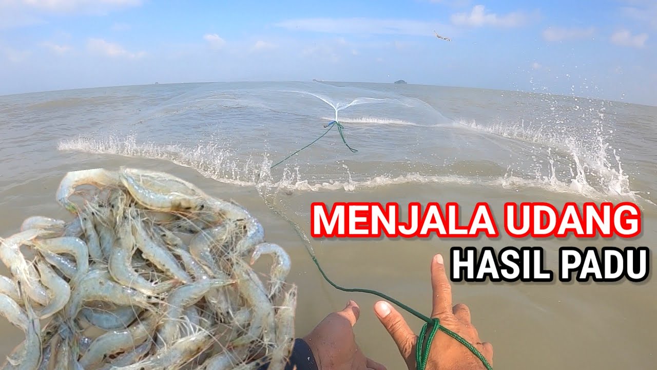 Menjala Ikan & Udang Laut | Hasil Padu Pantai Jeram, Selangor‼️ 