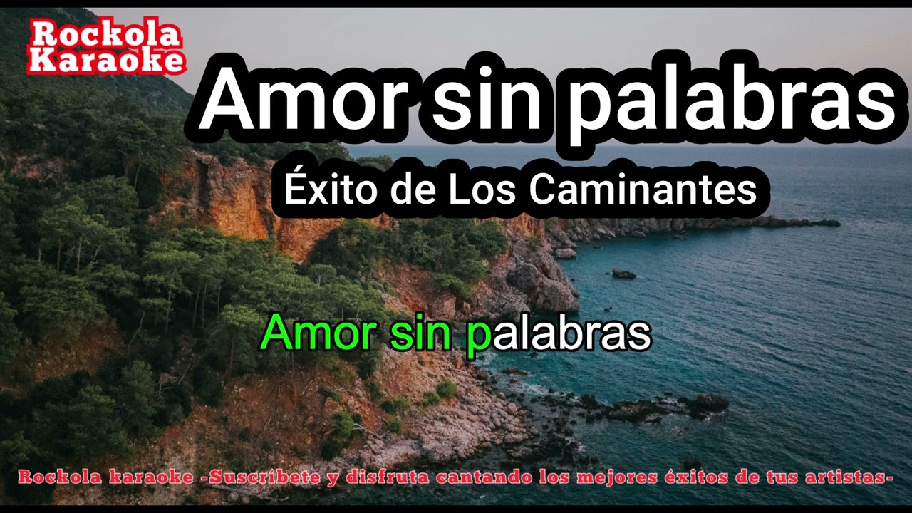 Amor sin palabras (Karaoke)
