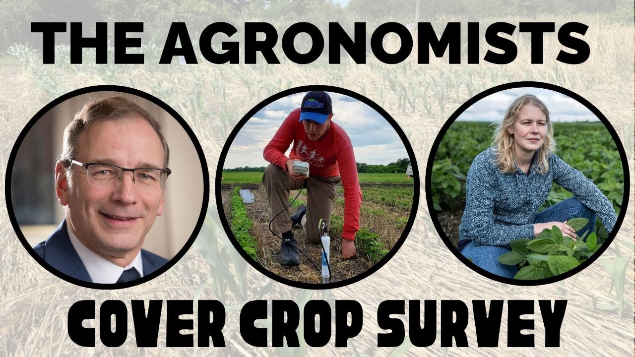 The Agronomists, Ep 225: Cover crop adoption with Yvonne Lawley, Callum Morrison, & Marty Vermey