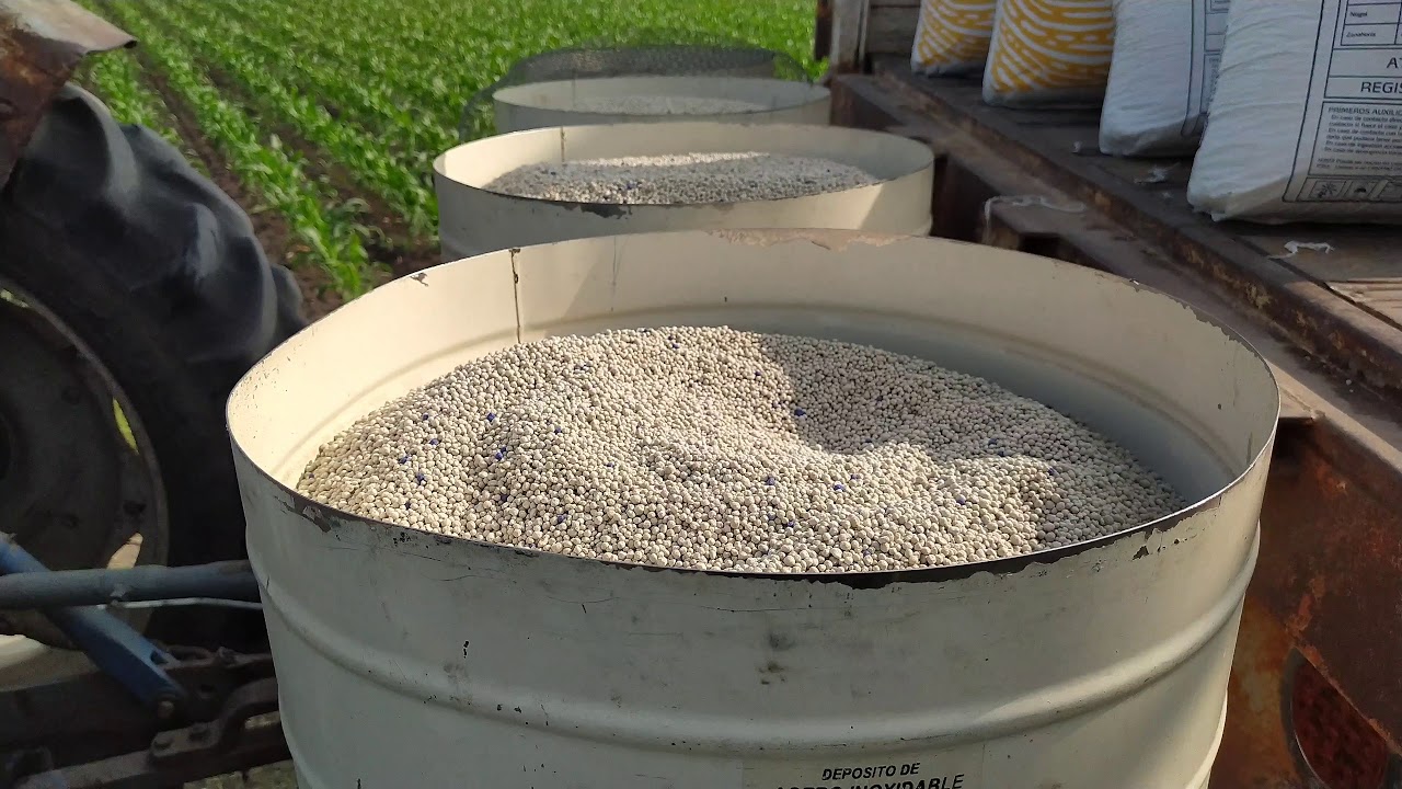 Fertilizando maíz Antílope con Yarabela Nitromag