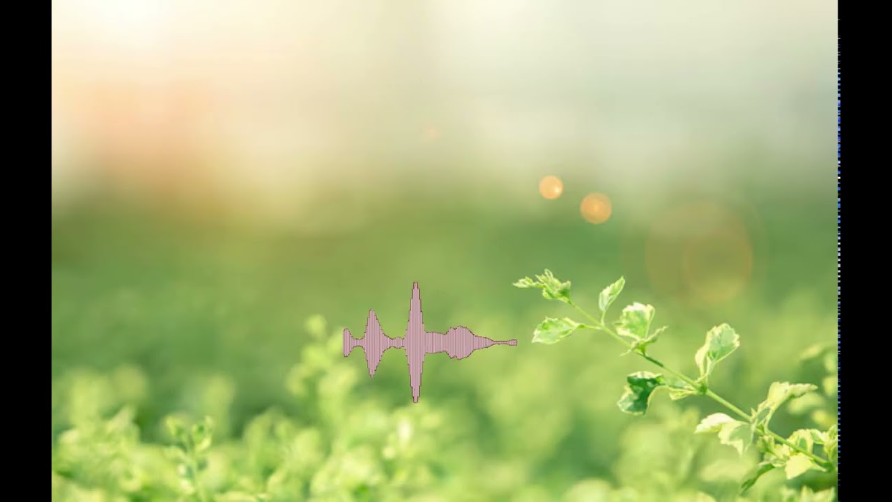 playlist I 나를 치유하는 시간, 치유의 기도