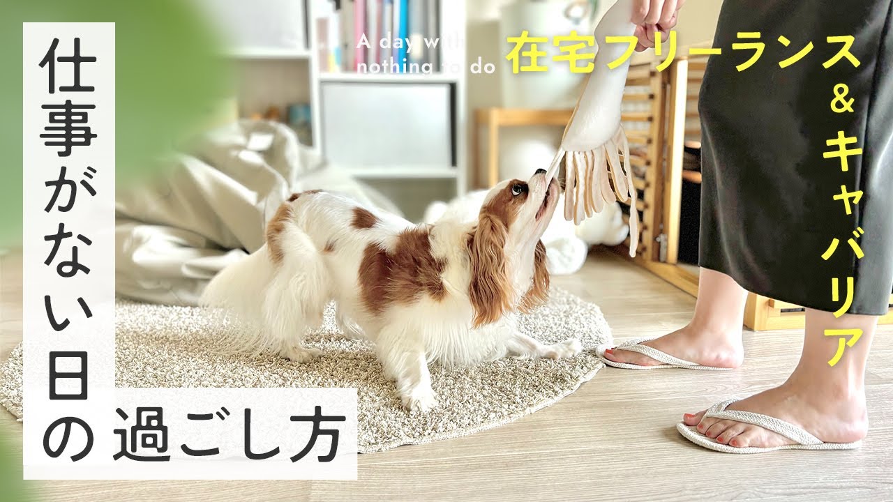 【ずーっと犬と一緒】在宅フリーランサーの仕事がない日の過ごし方｜キャバリア｜昼食づくり｜カルディ｜Vlog