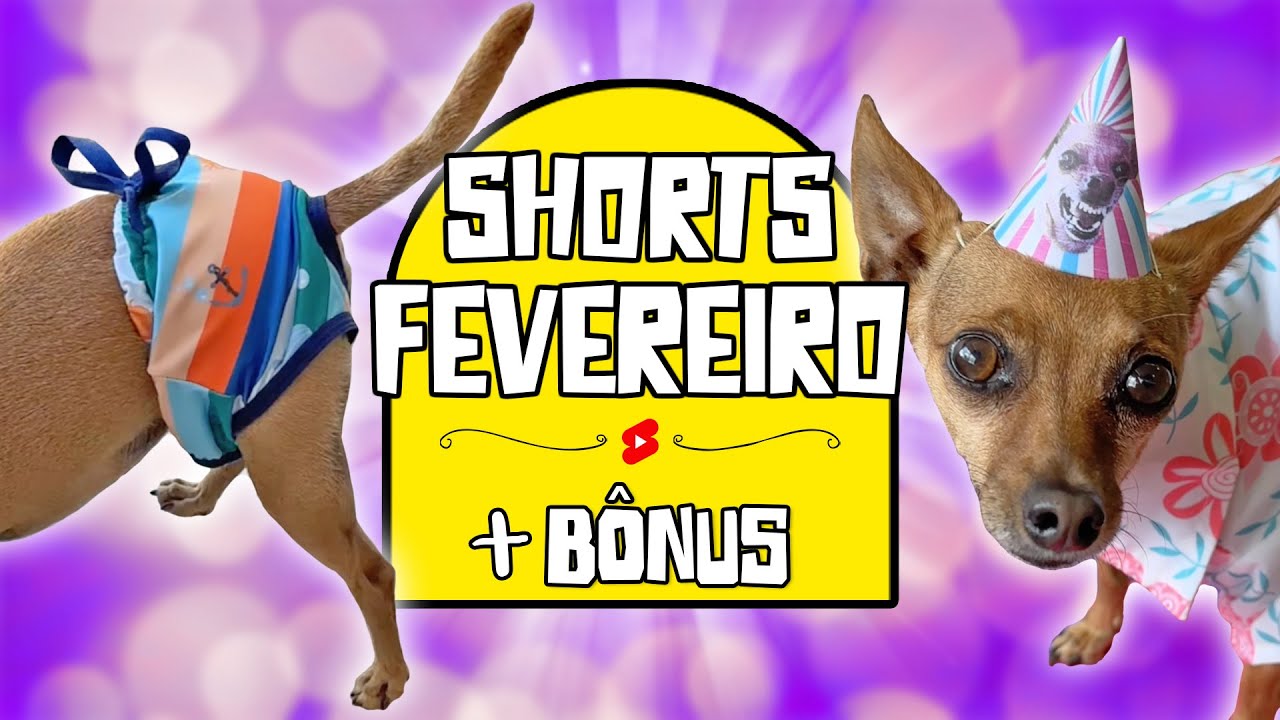 OS MELHORES SHORTS DE FEVEREIRO/2025