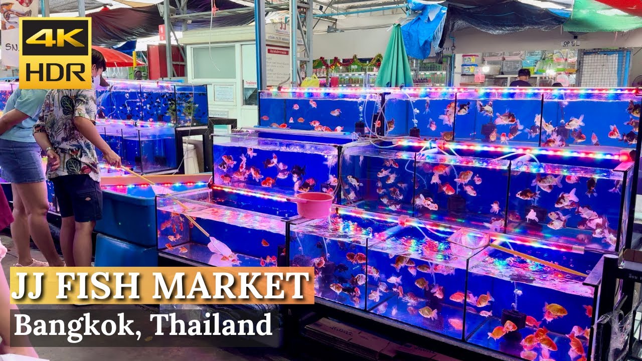 [BANGKOK] Chatuchak Fish Market 