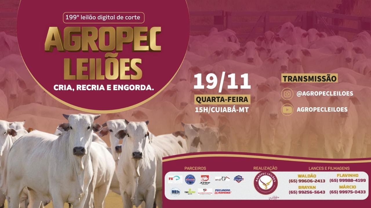199&ordm; LEIL&Atilde;O DIGITAL DE CORTE AGROPEC