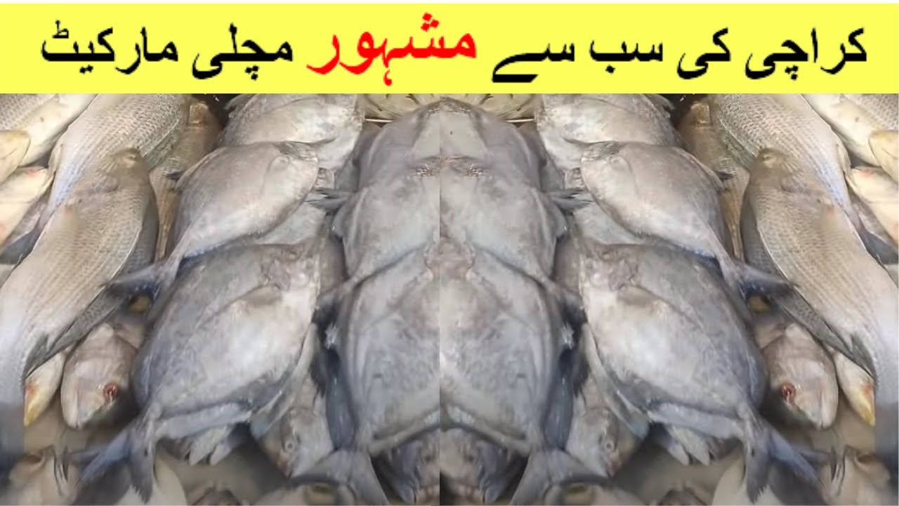 Moosa Colony Fish Market | Oldest Fish Market in Karachi | Seafood updates and Information