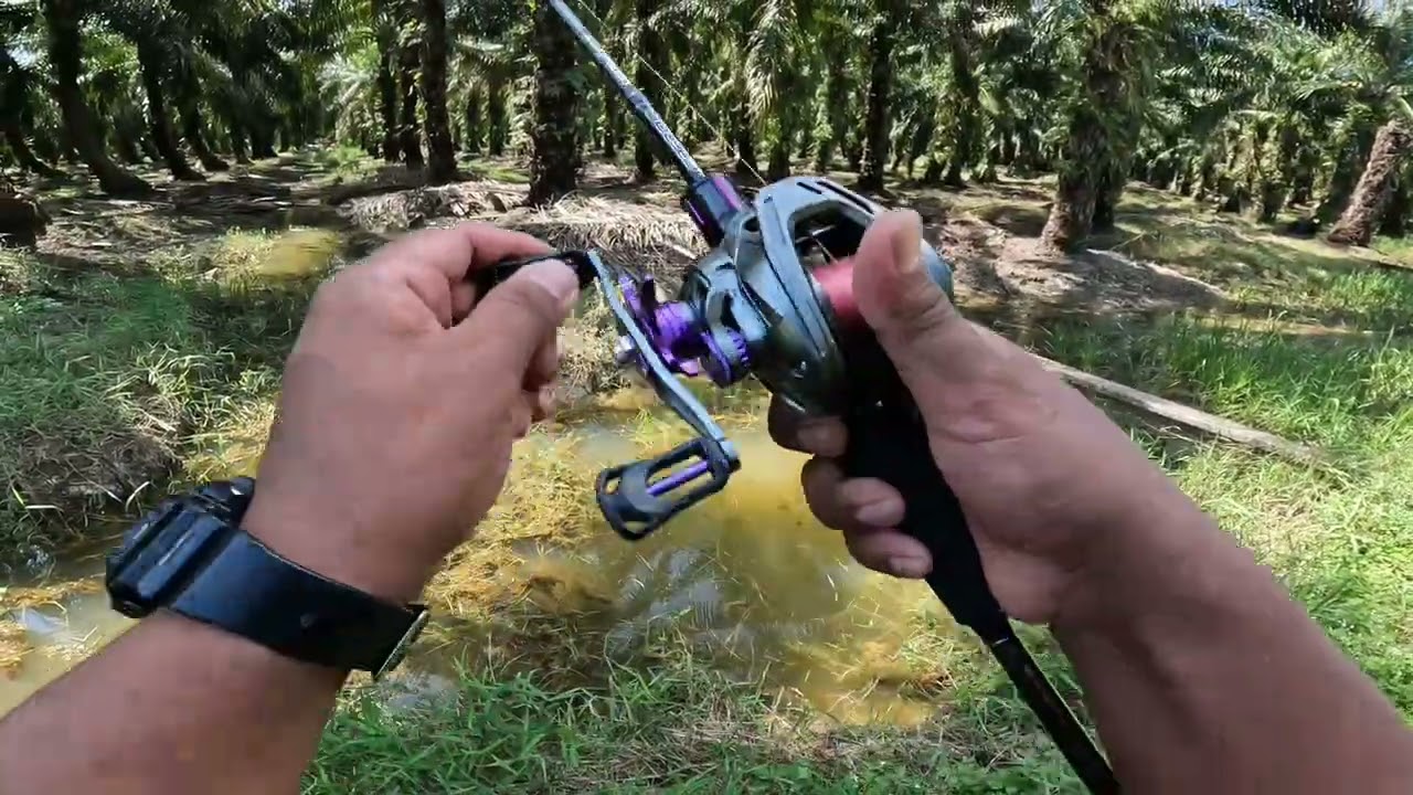 menduga HARUAN diduga PUYU