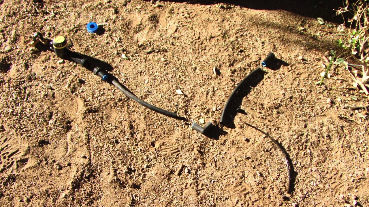 Growing Food in the Desert