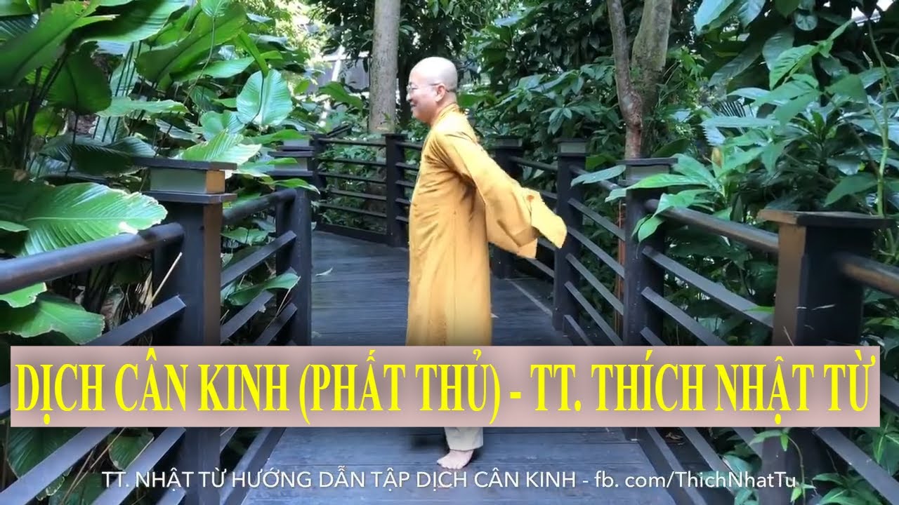 DỊCH C&Acirc;N KINH TRỊ BỆNH | TT. TH&Iacute;CH NHẬT TỪ