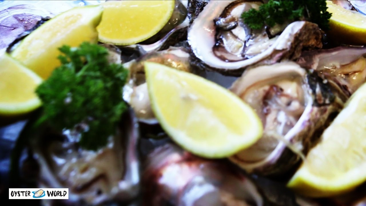 Oyster World Seafood Restaurant Great Brak River Garden Route South Africa