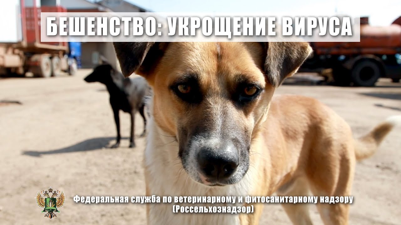 Фильм 
