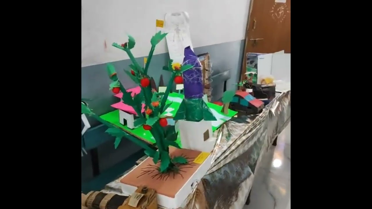 Science exhibition n funfair at our school