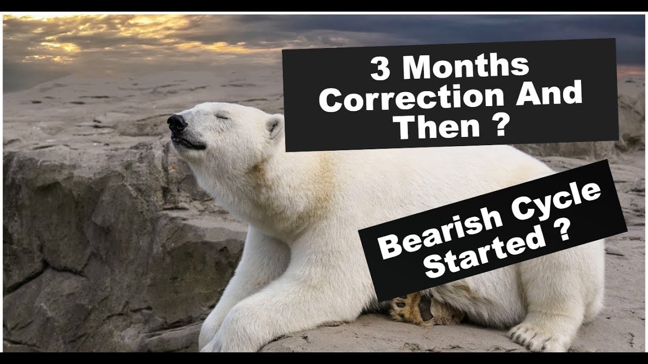 3 Months Correction and then ? Bearish Cycle Started ?