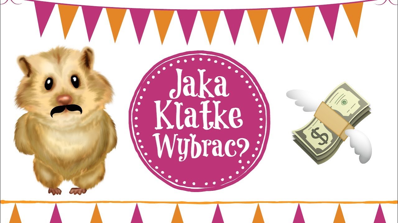 Jaką klatkę wybrać dla chomika?