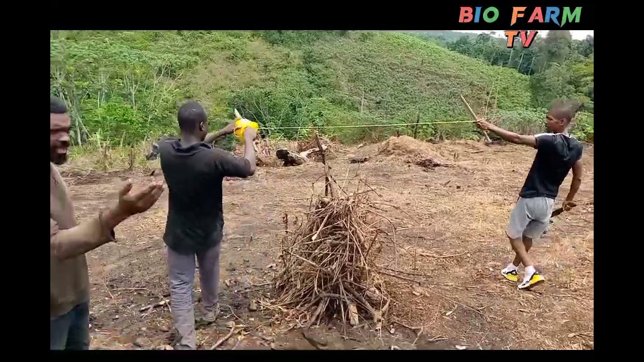 LA CULTURE DE MANIOC : comment réussir son projet agricole.