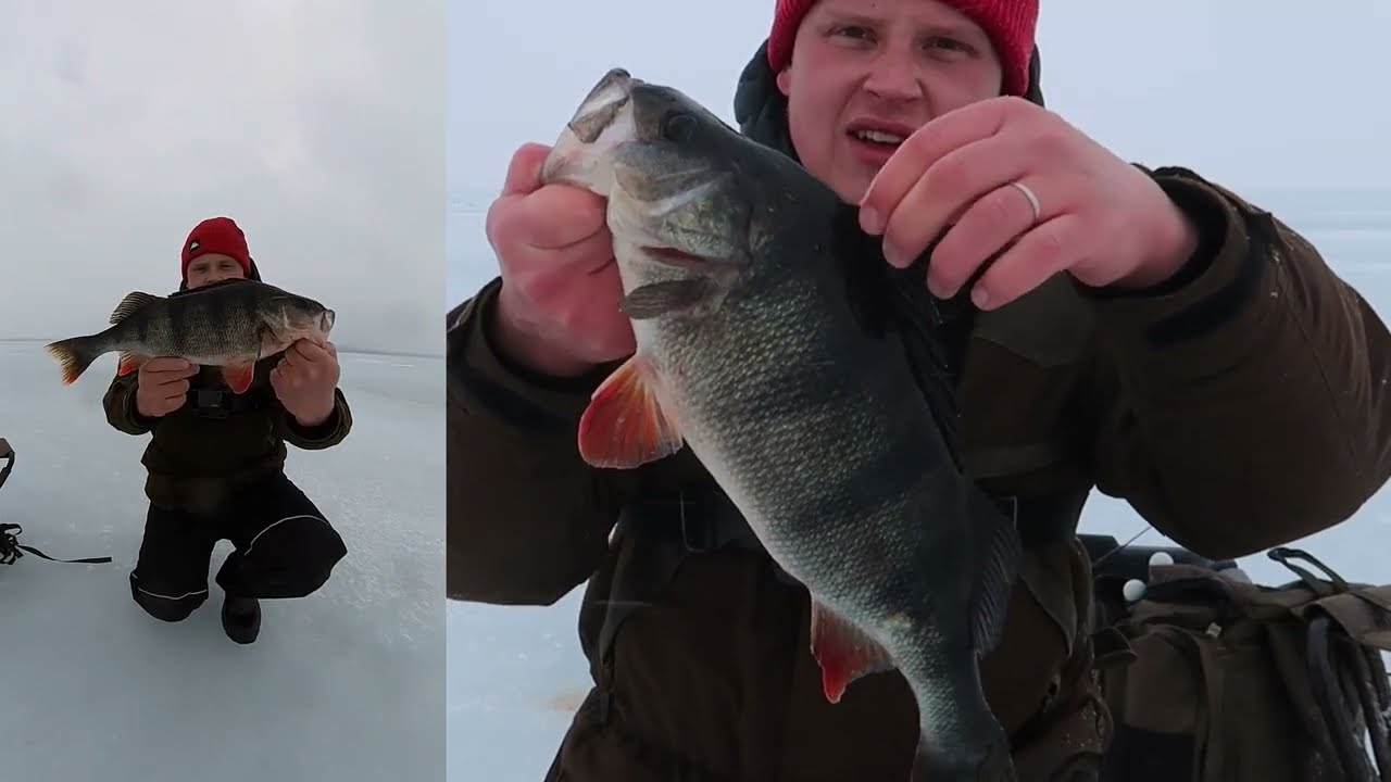 ENSIMMÄINEN KILON YLITYS! | SUVASVESI | SIIKAA JA ISOJA AHVENIA | SYÖNTIPIIKKI | Finnish Fisherman