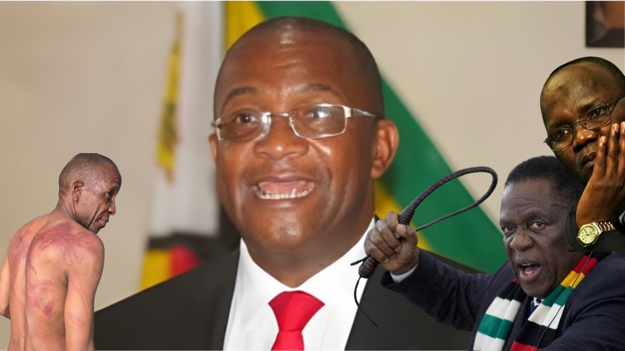 MWONZORA HAILED FOR A KILLER-PUNCH ADDRESS AGAINST ED CONSTITUTIONAL COUP